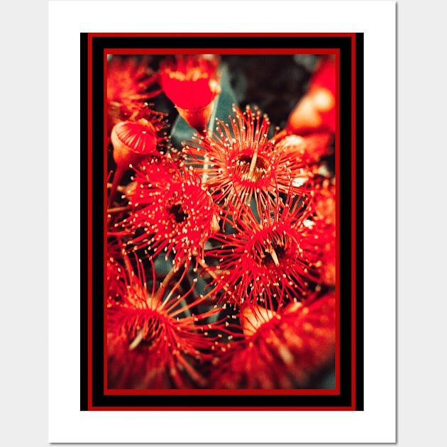 Beautiful Red Spikey Flowers Wall Art by Blue Butterfly Designs 